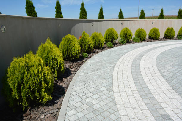 Best Commercial Driveway Pavers  in Brundidge, AL